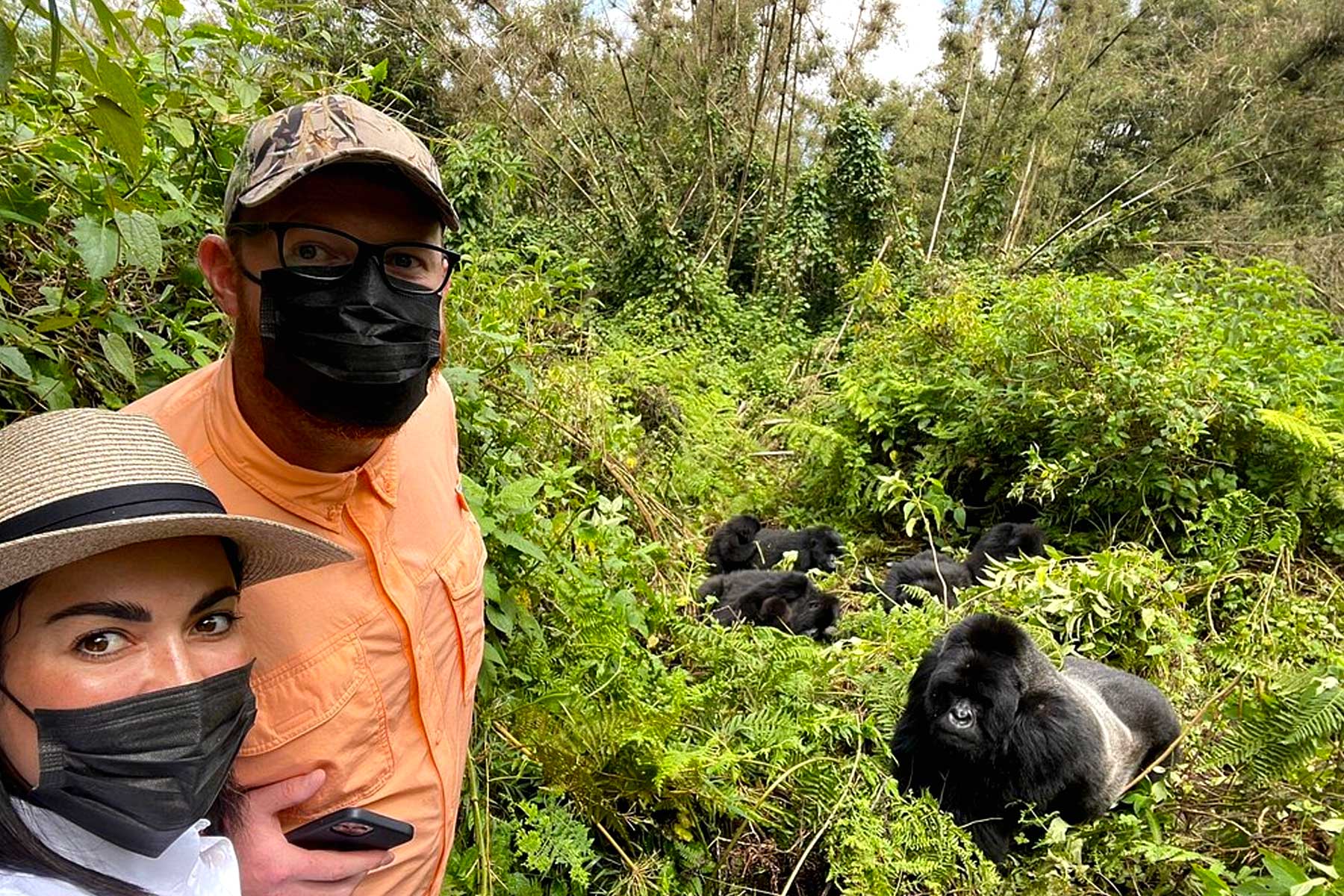 Volcanoes National Park: What to Expect