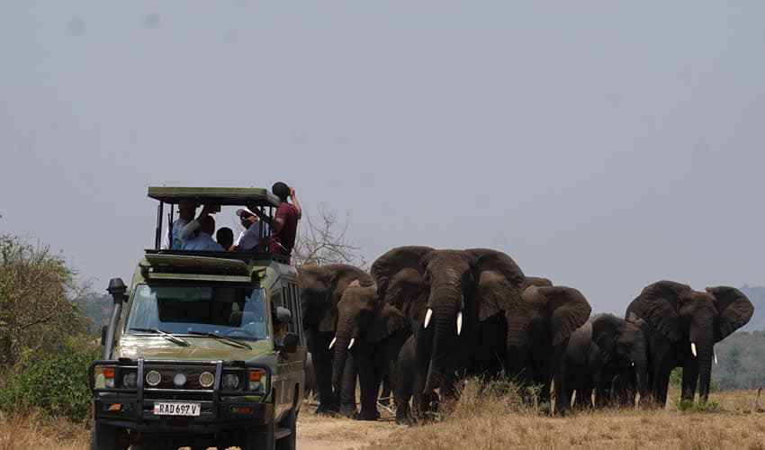 Akagera National Park Adventures