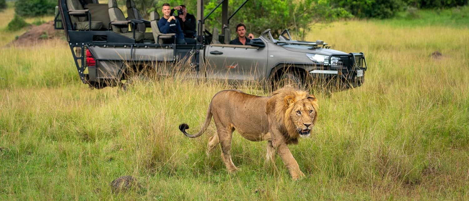 1-Day Akagera National Park Safari