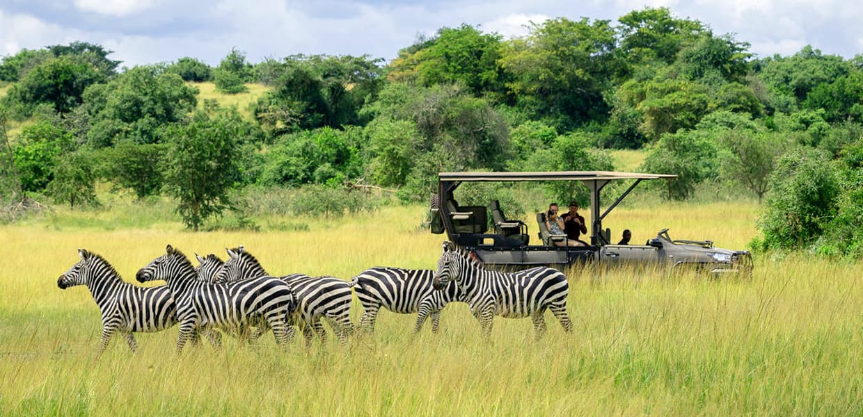 10-Day Mid-Range Rwanda Tour